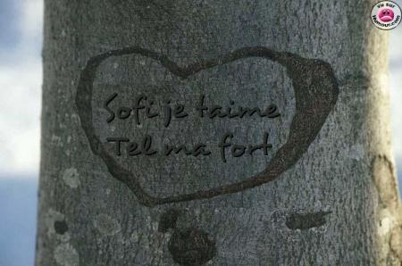 je t'aime de tou mon coeur sans toi ma vie aura pa dechence